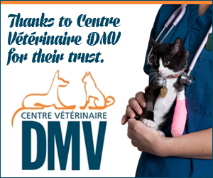 DMV Veterinary Center