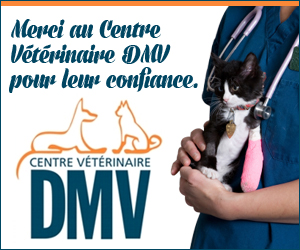 Centre Vétérinaire DMV