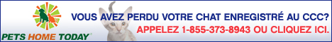 Microchip 4 Solutions Inc.