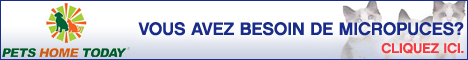 Microchip 4 Solutions Inc.