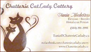 Breeder - Chatterie Catlady