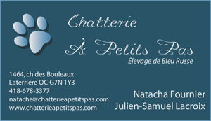 Breeder - Chatterie A Petits Pas